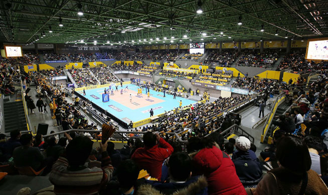  A picture of a spectator watching a volleyball game
