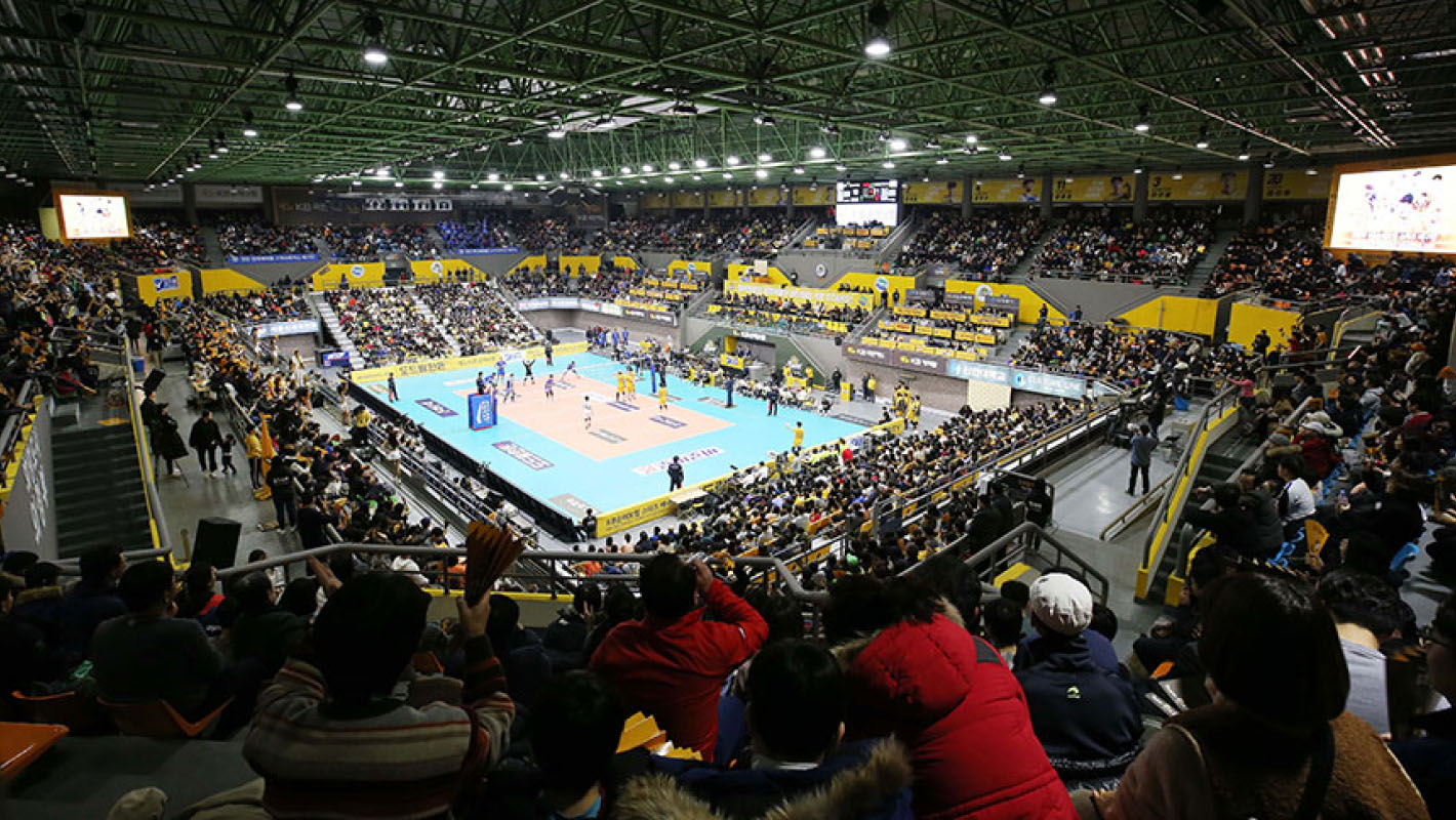  A picture of a spectator watching a volleyball game
