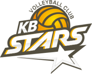 The logo of KB Insurance Stars Professional Volleyball Team